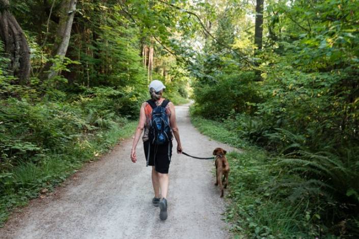 Feature photo: Dog walking tips for your next pet sitting adventure