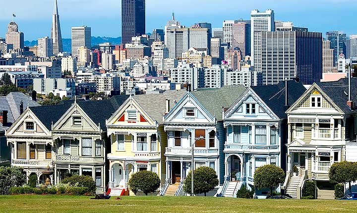House sitting and Pet Sitting in San Francisco - the perfect alternative to dog boarding