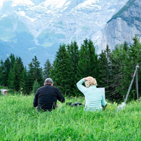 two house sitters looking at a snow covered mountain in the distance