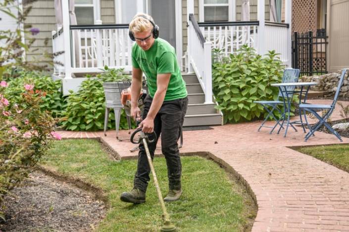 house sitter maintaining garden with a whipper snipper