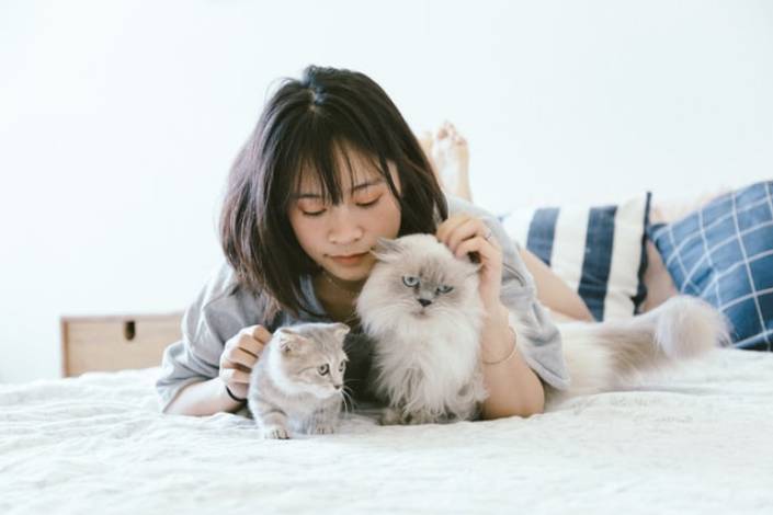 pet sitter laying on bed with two cats